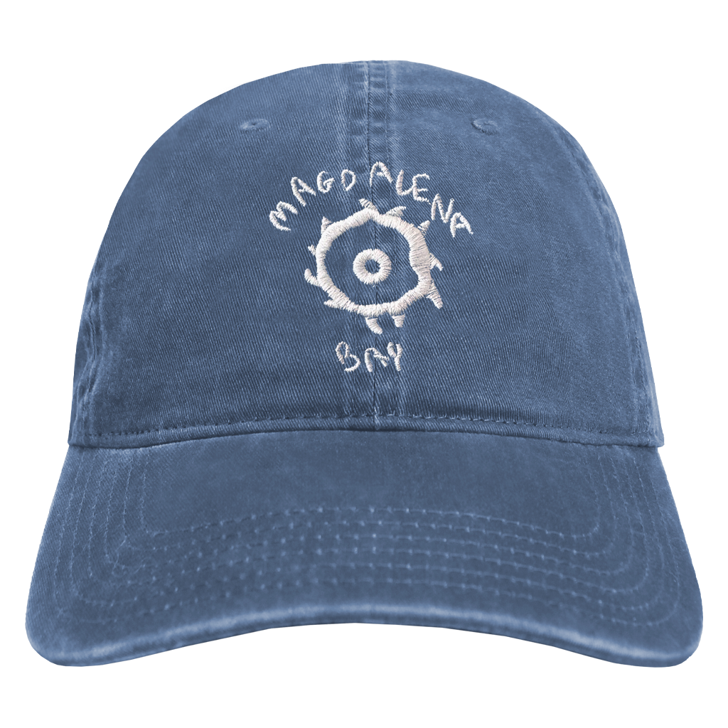 Disk Dad Hat